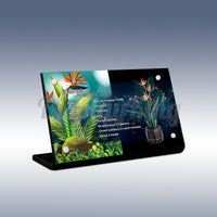 Display King - Acrylic display plaque for Lego Bird of Paradise 10289