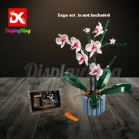 Display King - Acrylic photo frame for Lego Orchid 10311