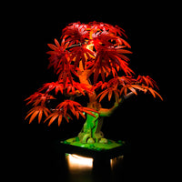 Brick Shine GC Light Kit for LEGO® Japanese Red Maple Bonsai Tree 10348
