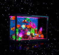 Brick Shine GC Light Kit for LEGO® Tropical Aquarium 10366