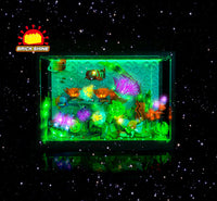 Brick Shine GC Light Kit for LEGO® Tropical Aquarium 10366