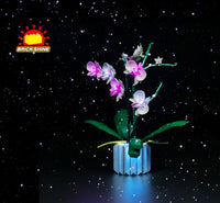 Brick Shine GC Light Kit for LEGO® Orchid 10311
