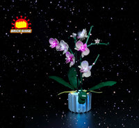 Brick Shine GC Light Kit for LEGO® Orchid 10311