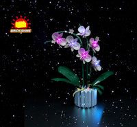 Brick Shine GC Light Kit for LEGO® Orchid 10311