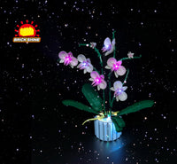 Brick Shine GC Light Kit for LEGO® Orchid 10311