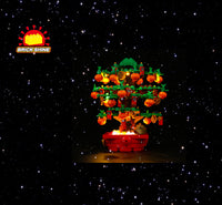 Brick Shine -  Light Kit for LEGO® Money Tree 40648