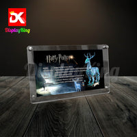 Display King - Acrylic photo frame for Lego Expecto Patronum 76414
