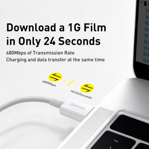 Baseus Superior Series Fast Charging Data Cable Type-C to iP PD 20W