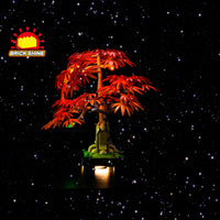 Brick Shine GC Light Kit for LEGO® Japanese Red Maple Bonsai Tree 10348