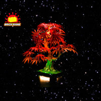 Brick Shine GC Light Kit for LEGO® Japanese Red Maple Bonsai Tree 10348