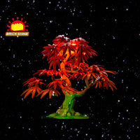 Brick Shine GC Light Kit for LEGO® Japanese Red Maple Bonsai Tree 10348