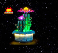 Brick Shine GC Light Kit for LEGO® Flowering Cactus 11509

