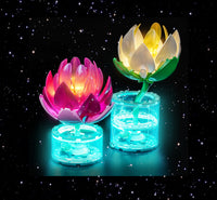 Brick Shine GC Light Kit for LEGO® Water Lilies 11511
