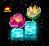 Brick Shine GC Light Kit for LEGO® Water Lilies 11511
