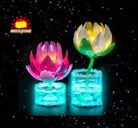 Brick Shine GC Light Kit for LEGO® Water Lilies 11511
