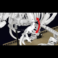 Mould King 29005 Mosasaurus & Velociraptor Fossil Display Model Building Set | 1418 Pcs
